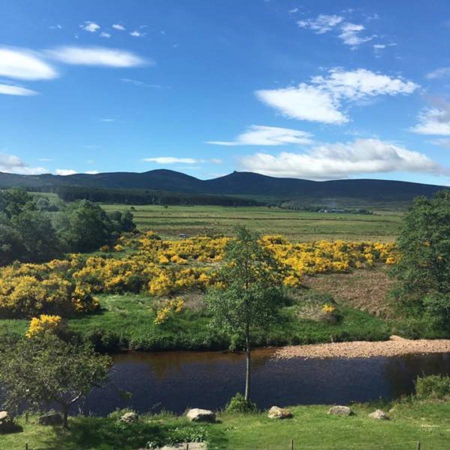 Feughside Guesthouse Banchory Kültér fotó